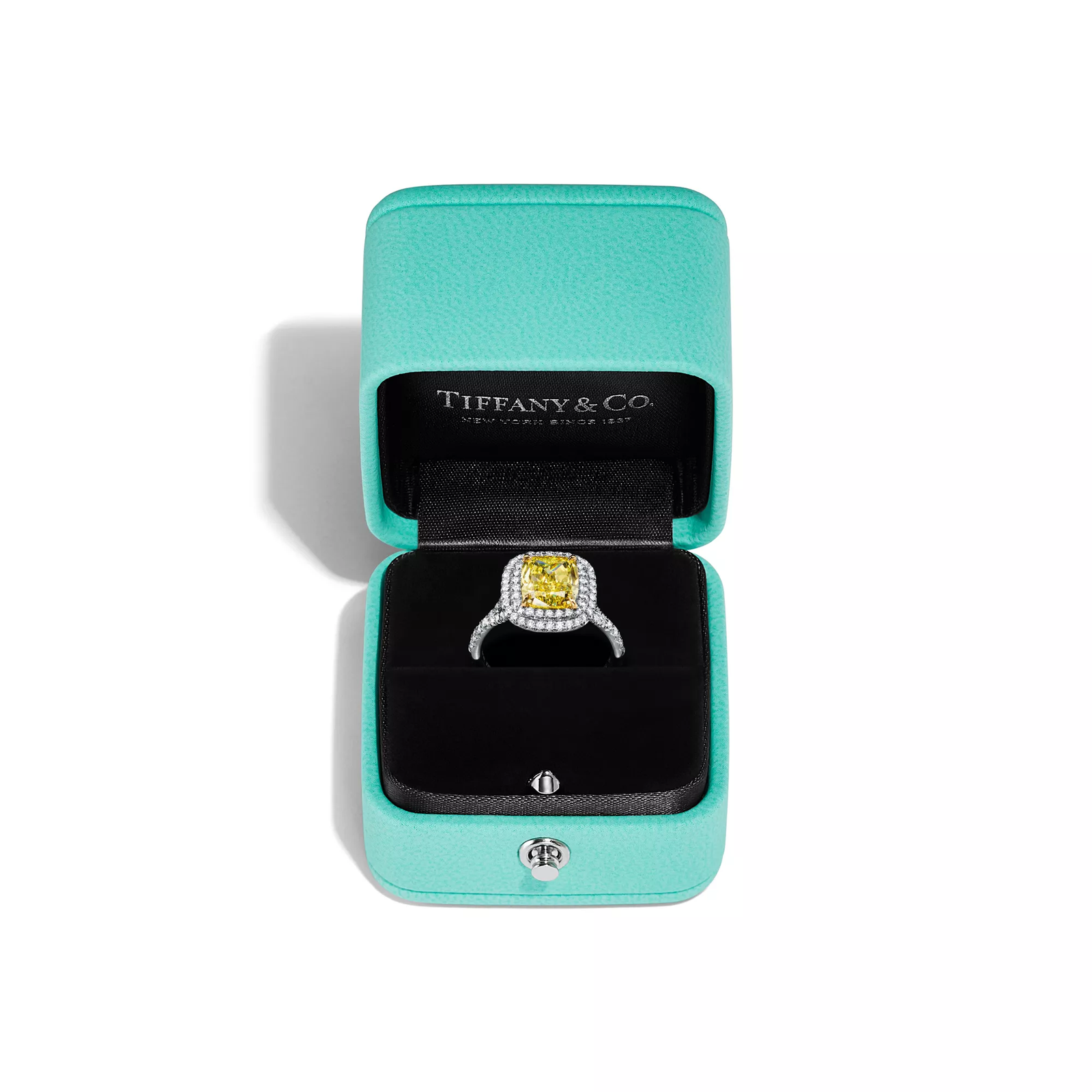 Cushion-cut Yellow Diamond Halo Engagement Ring in Platinum