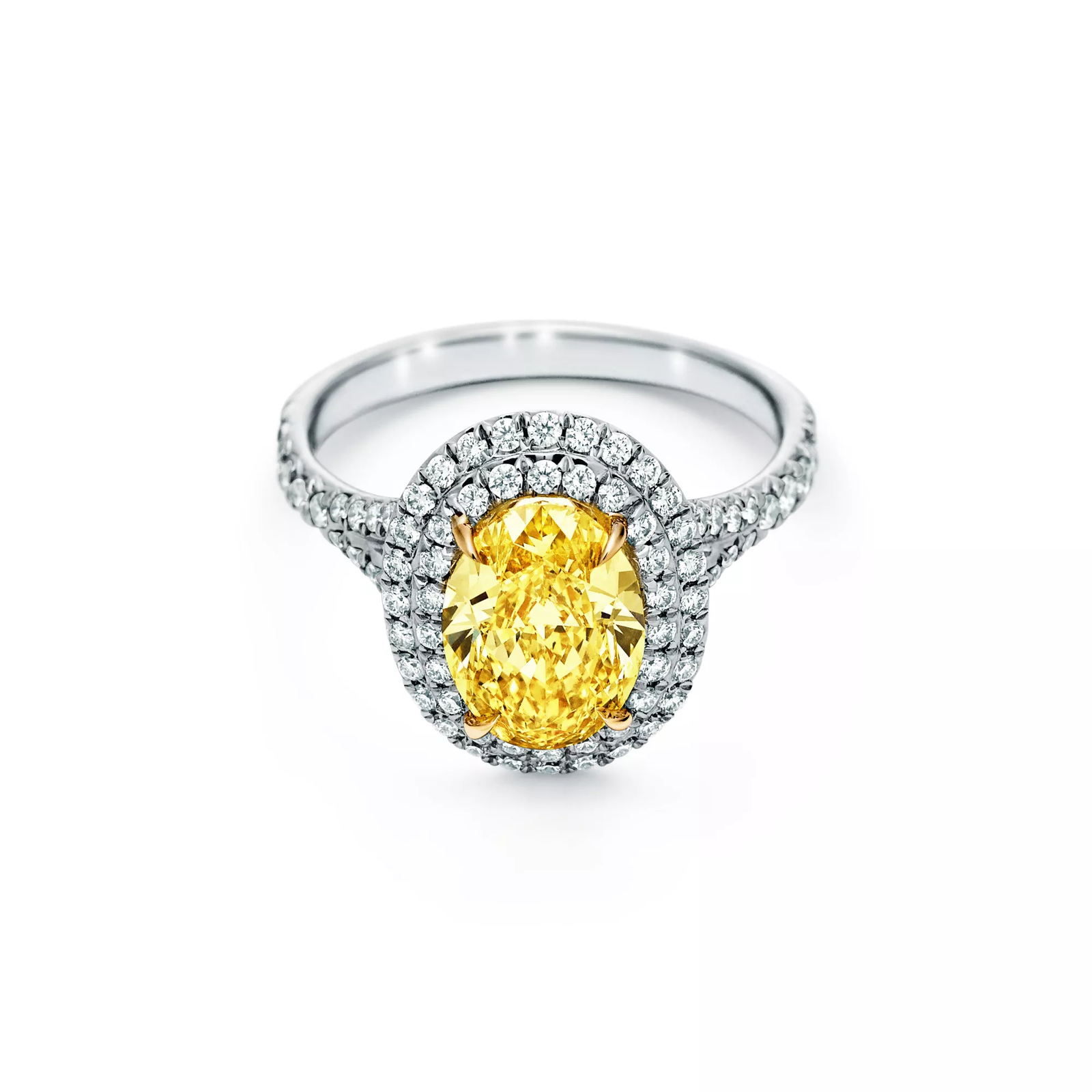 Oval Yellow Diamond Double Halo Engagement Ring in Platinum