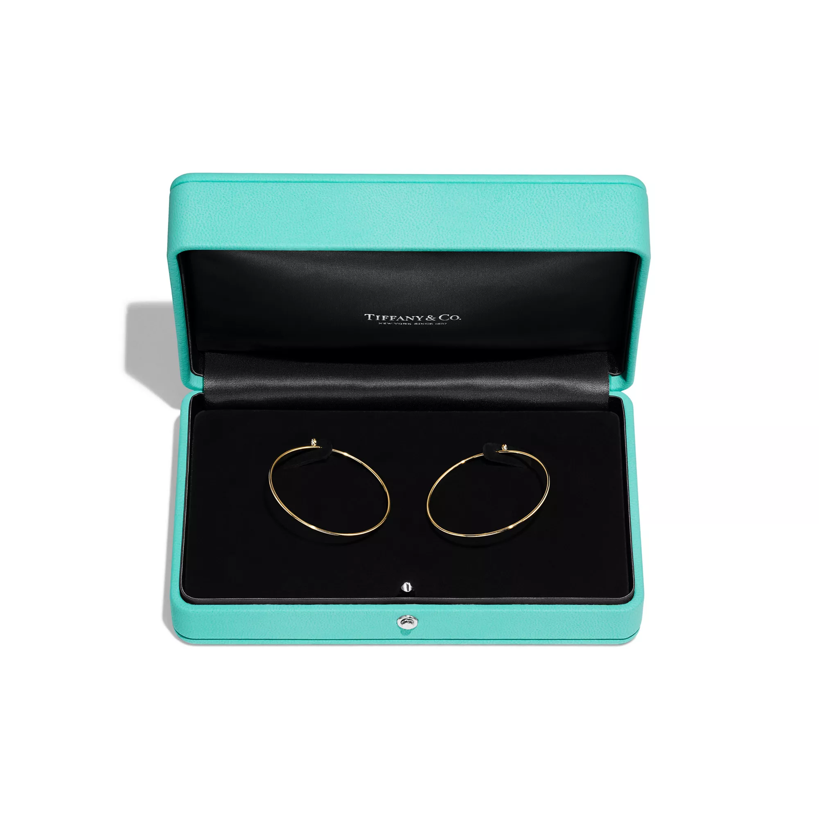 Diamond Hoop Earrings