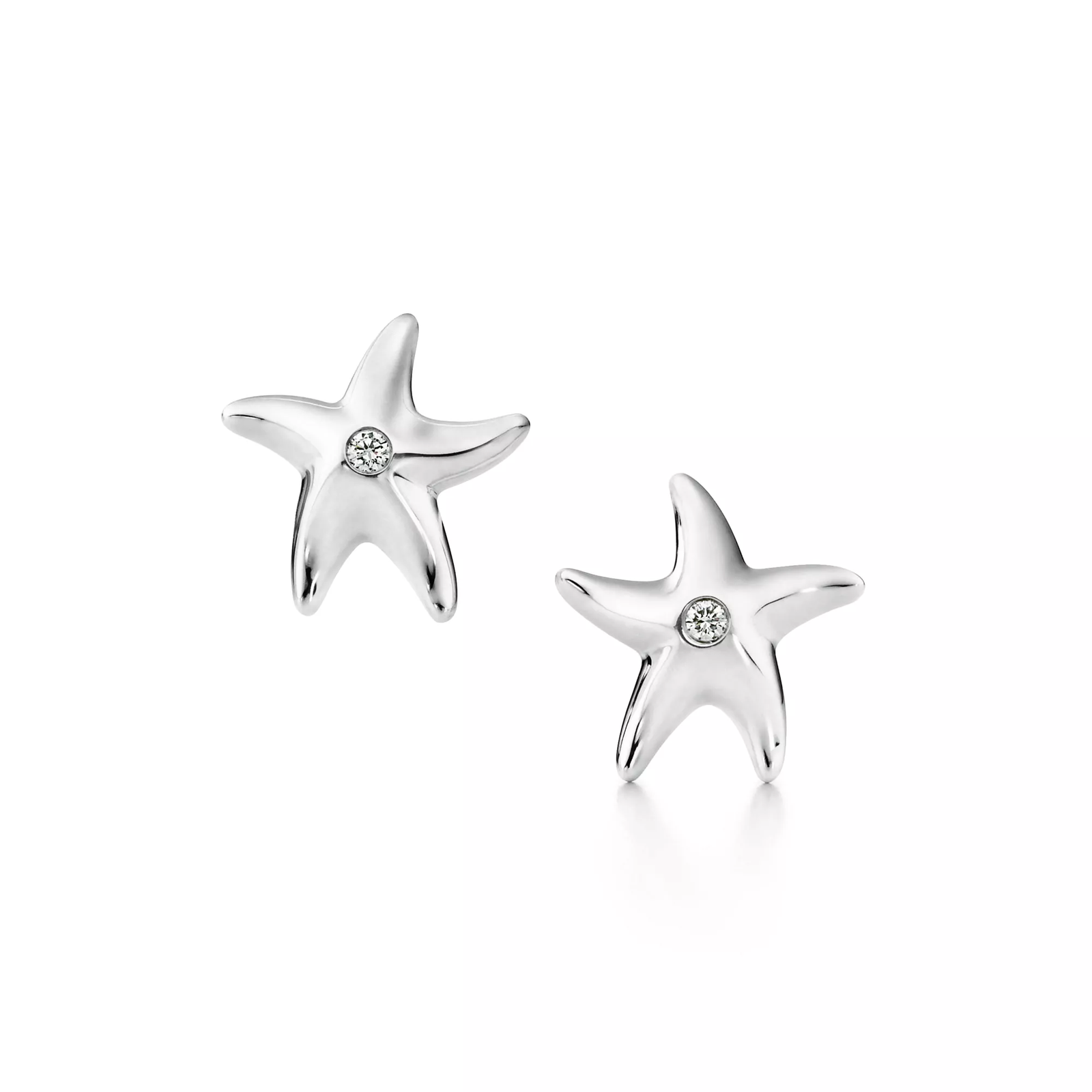 Starfish Earrings