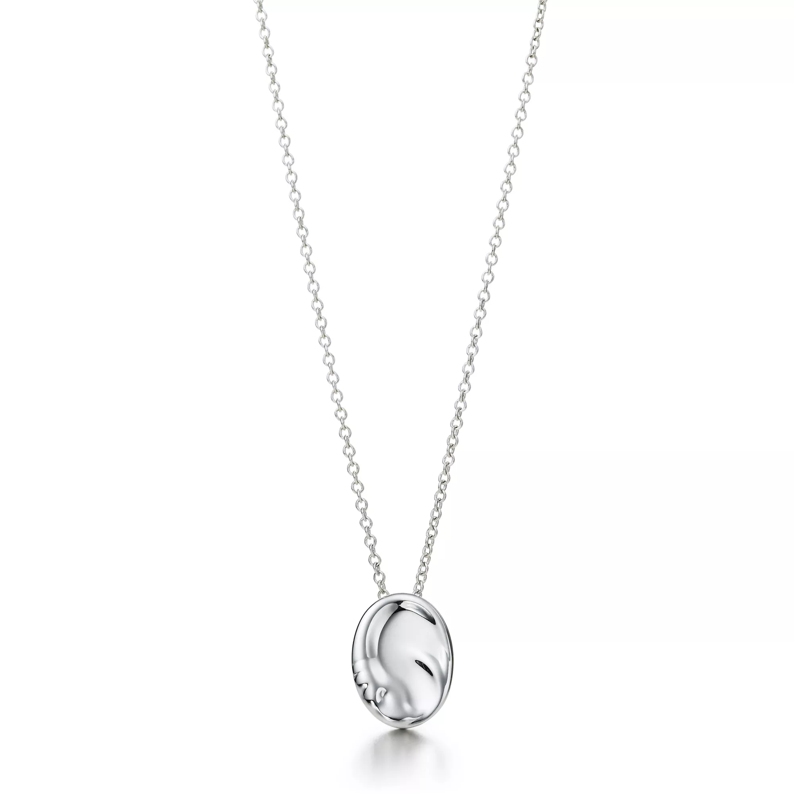 Zodiac pendant