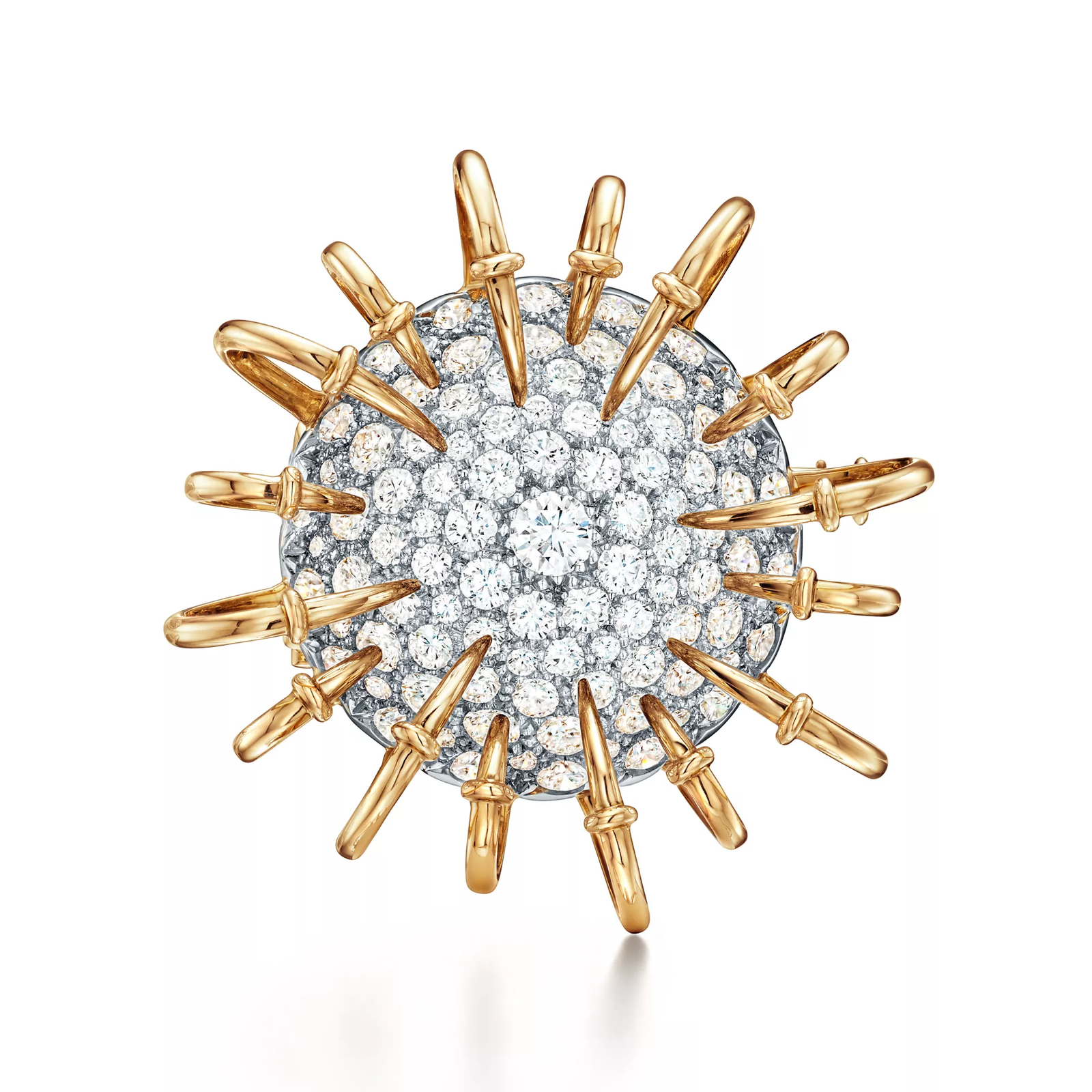 Brooch in Yellow Gold and Platinum with Diamonds