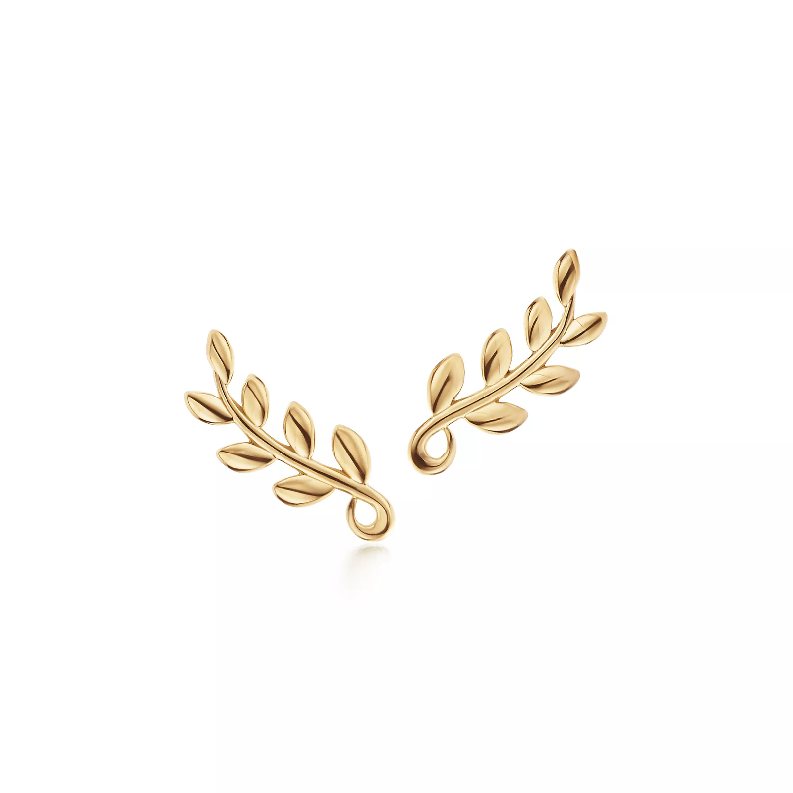Olive Leaf Climber Earrings