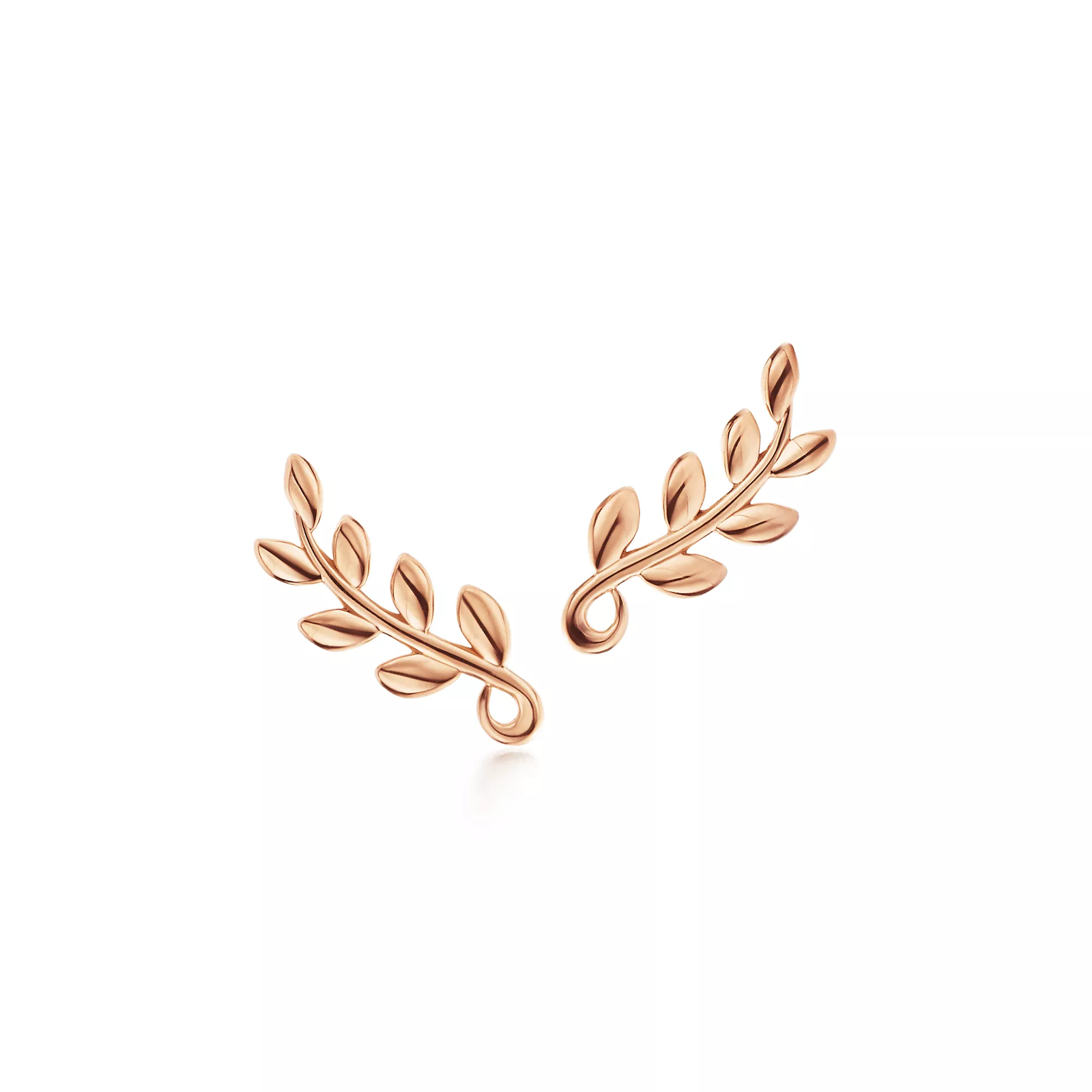 Olive Leaf Climber Earrings
