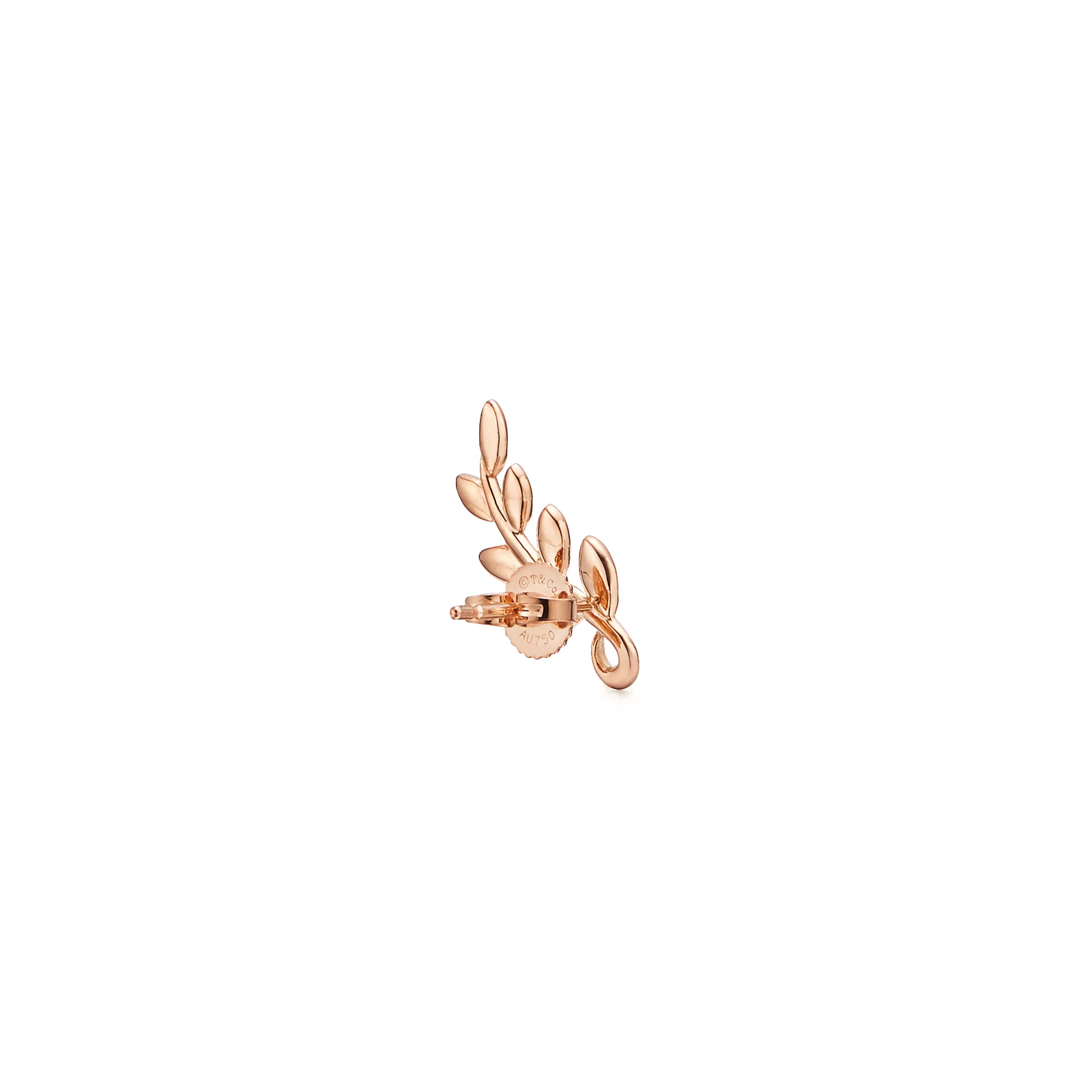 Olive Leaf Climber Earrings