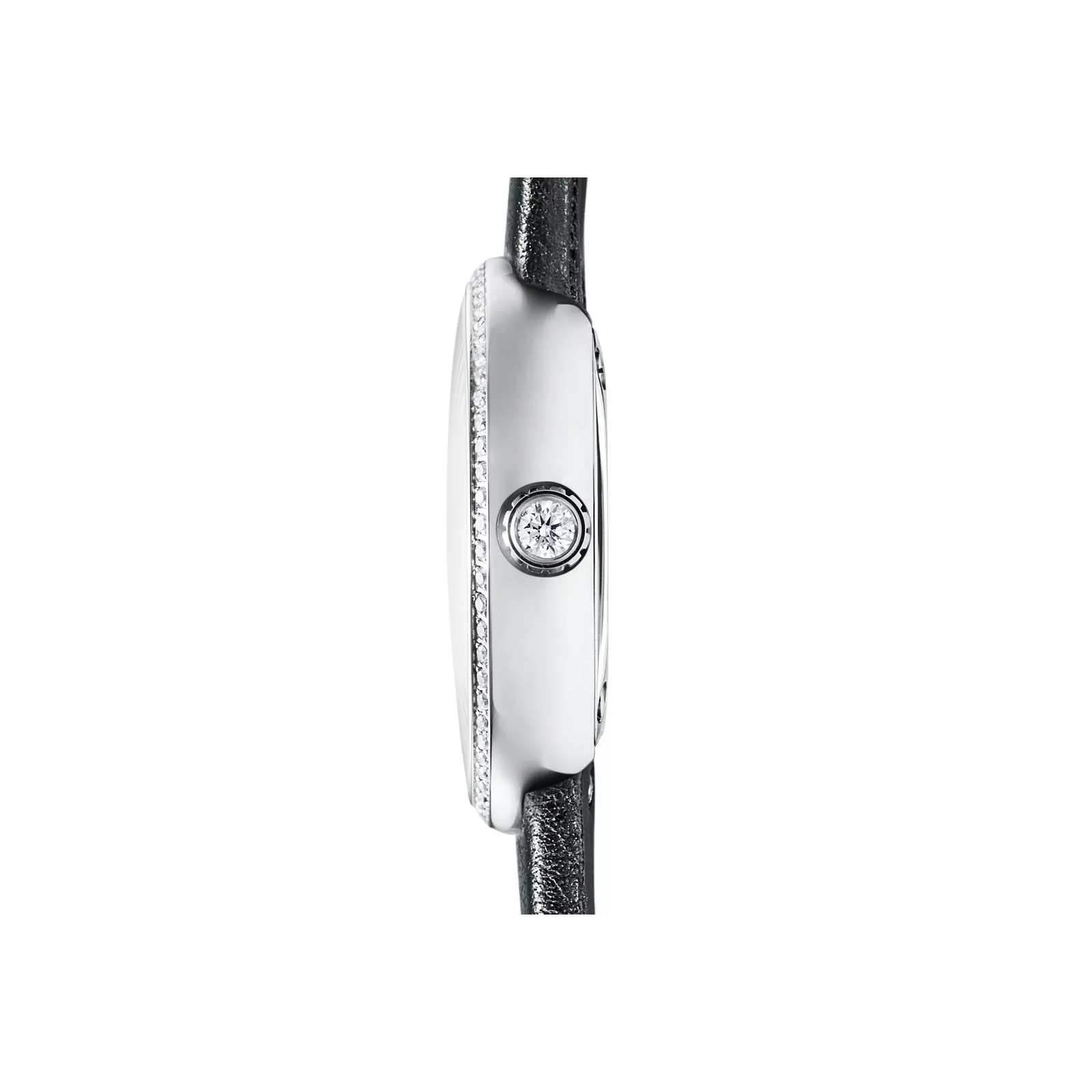 2-Hand 24 mm Watch