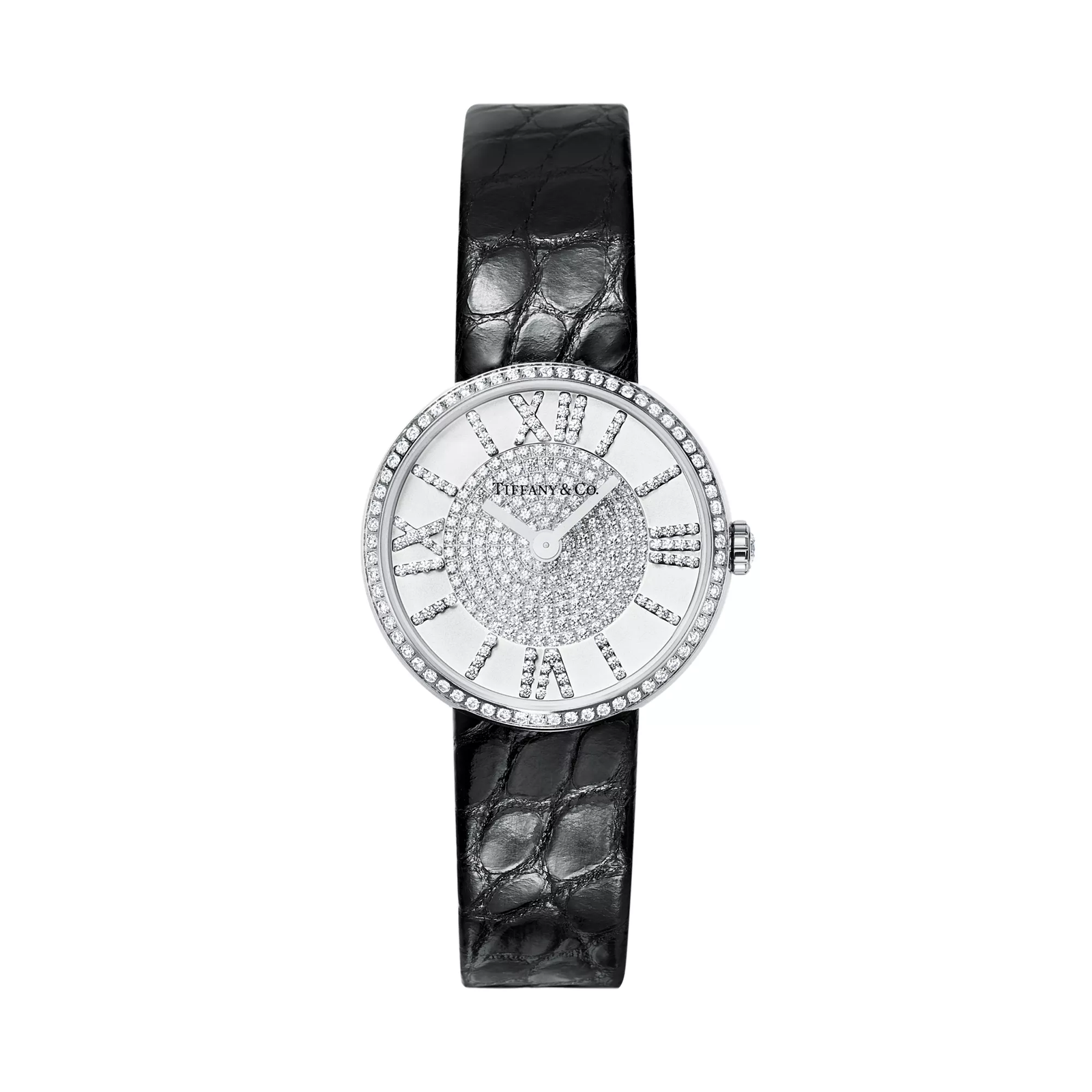 2-Hand 24 mm Watch