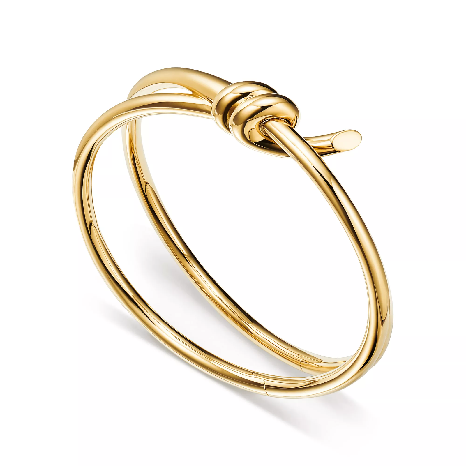 Double Row Hinged Bangle in Yellow Gold