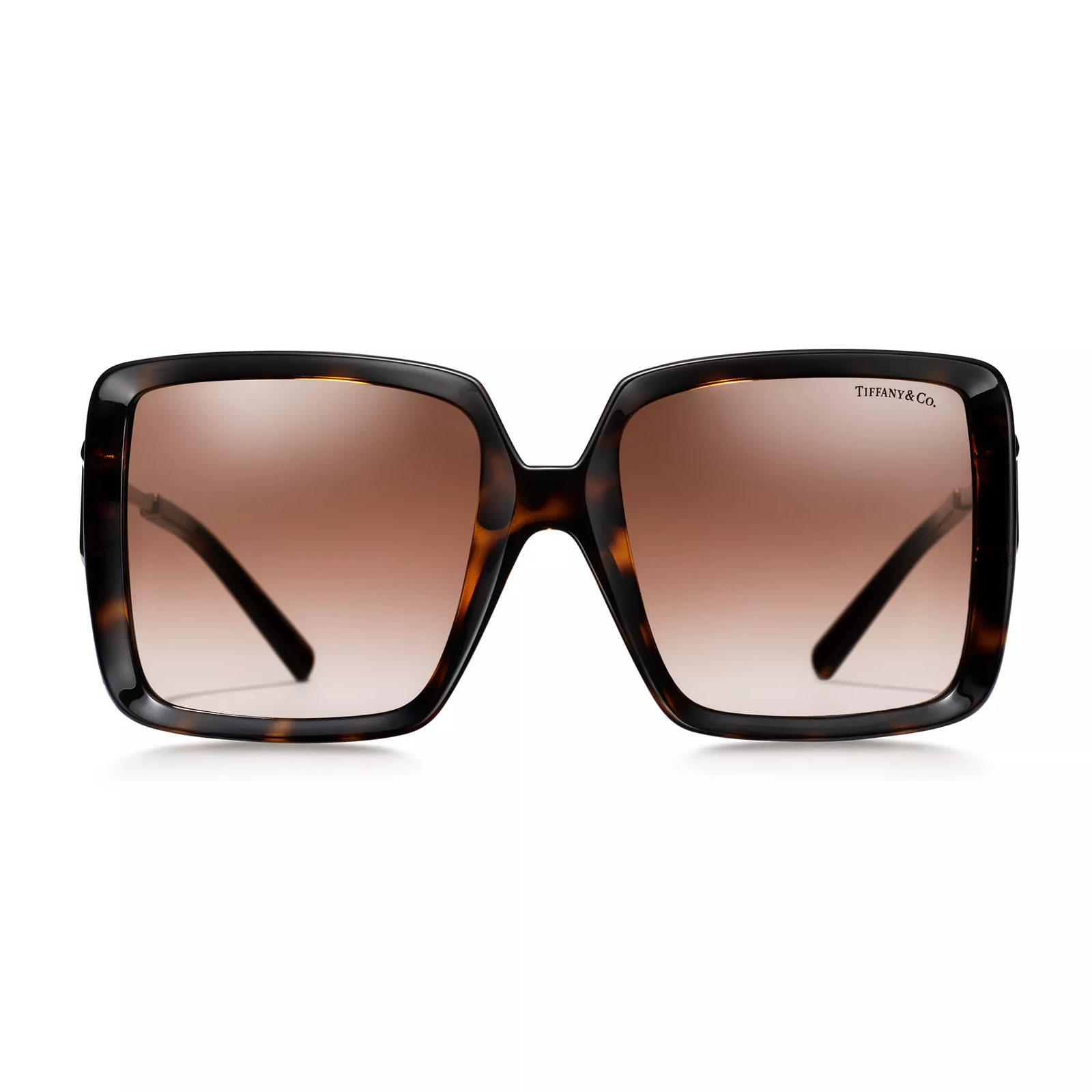 Sunglasses in Tortoise Acetate with Brown Gradient Lenses
