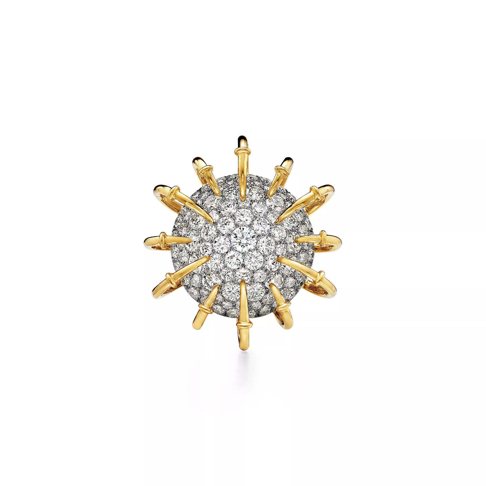 Brooch in Gold and Platinum with Diamonds