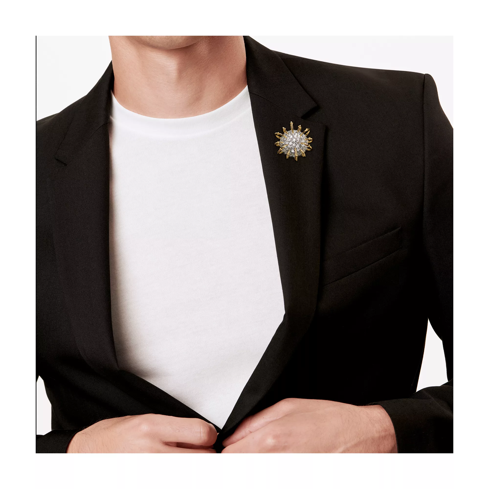 Brooch in Gold and Platinum with Diamonds