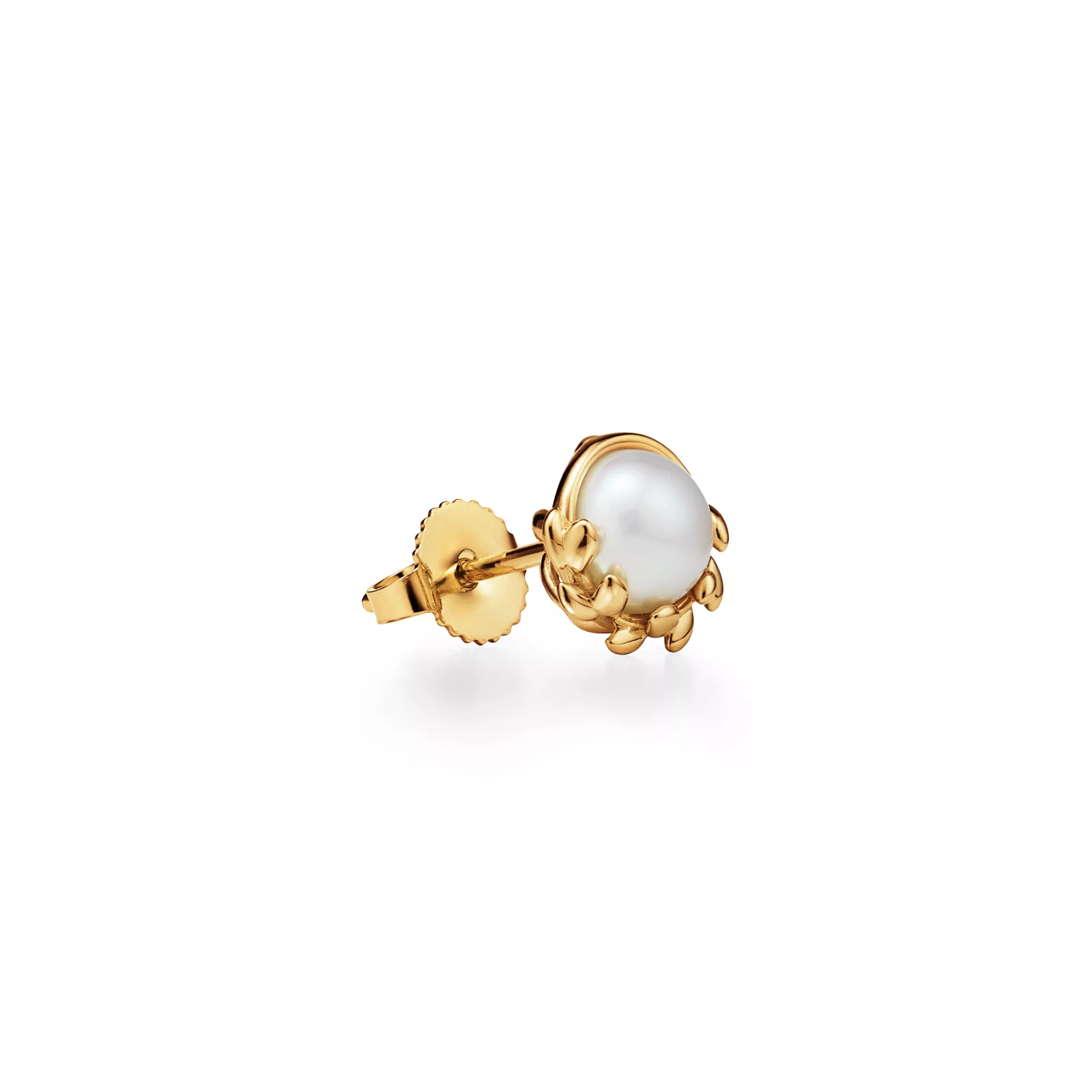 Olive Leaf Stud Earrings in Yellow Gold with Pearls