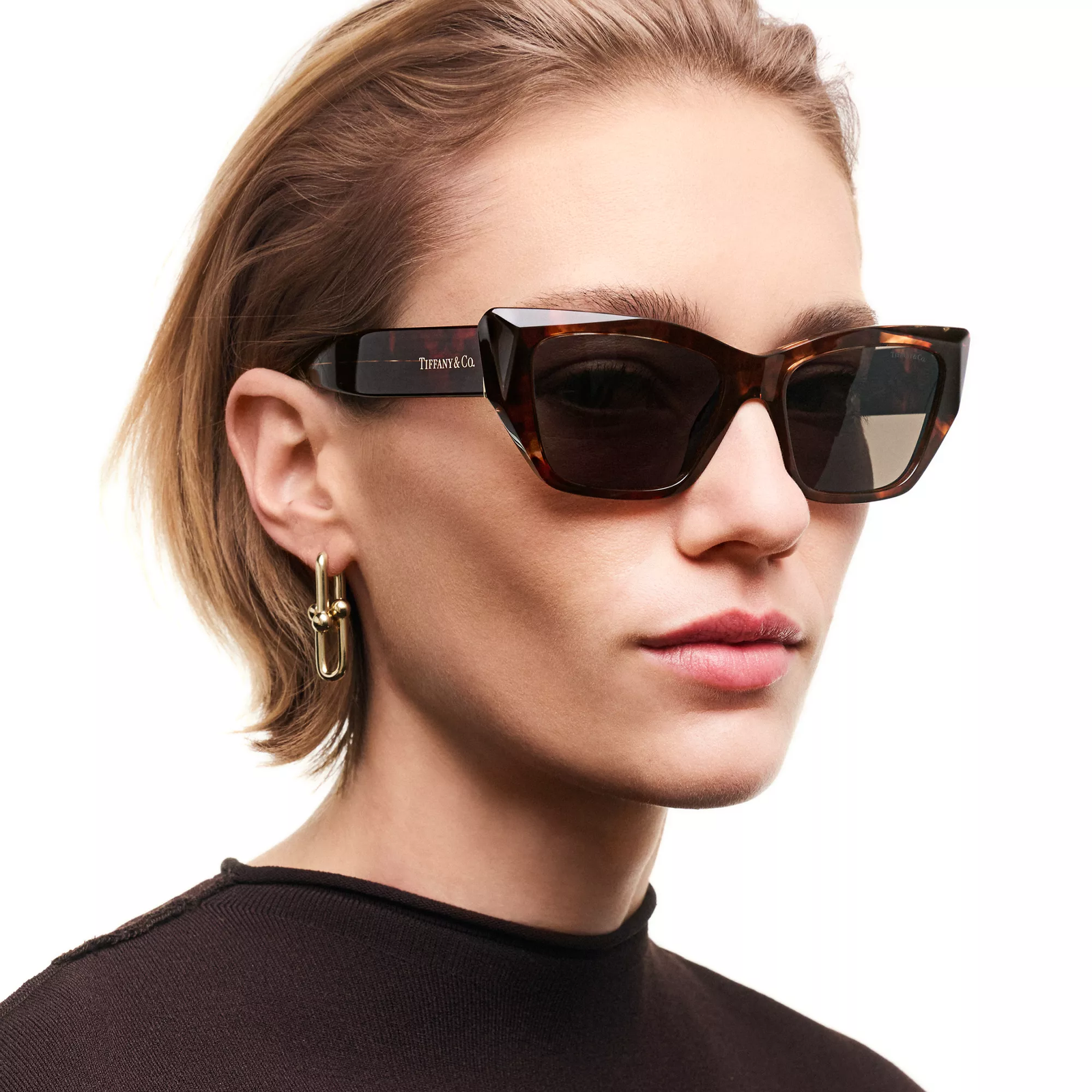 Sunglasses in Tortoise Acetate with Light Brown Lenses