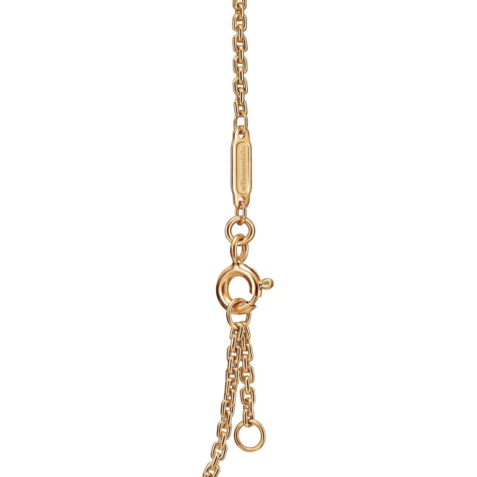 Double Link Bracelet in Yellow Gold