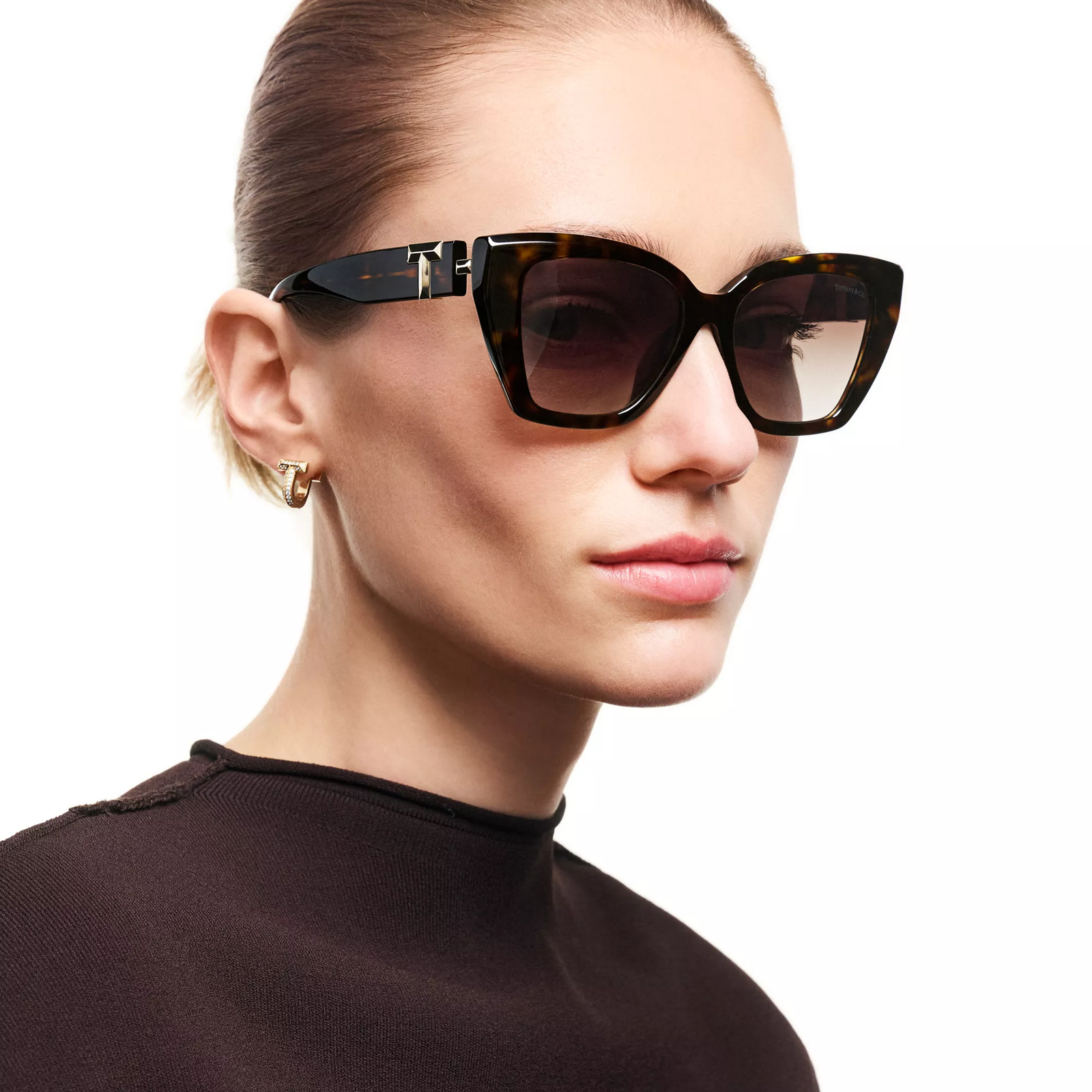Sunglasses in Tortoise Acetate with Brown Gradient Lenses
