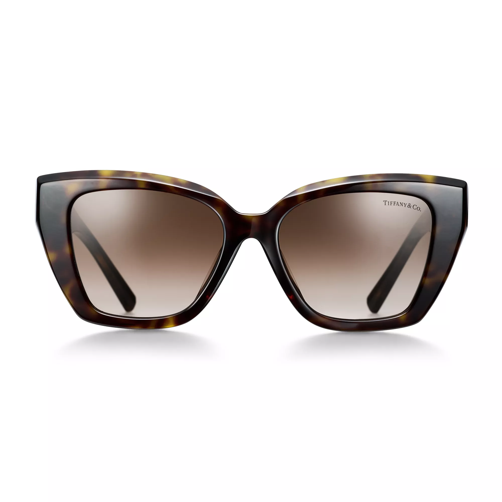 Sunglasses in Tortoise Acetate with Brown Gradient Lenses