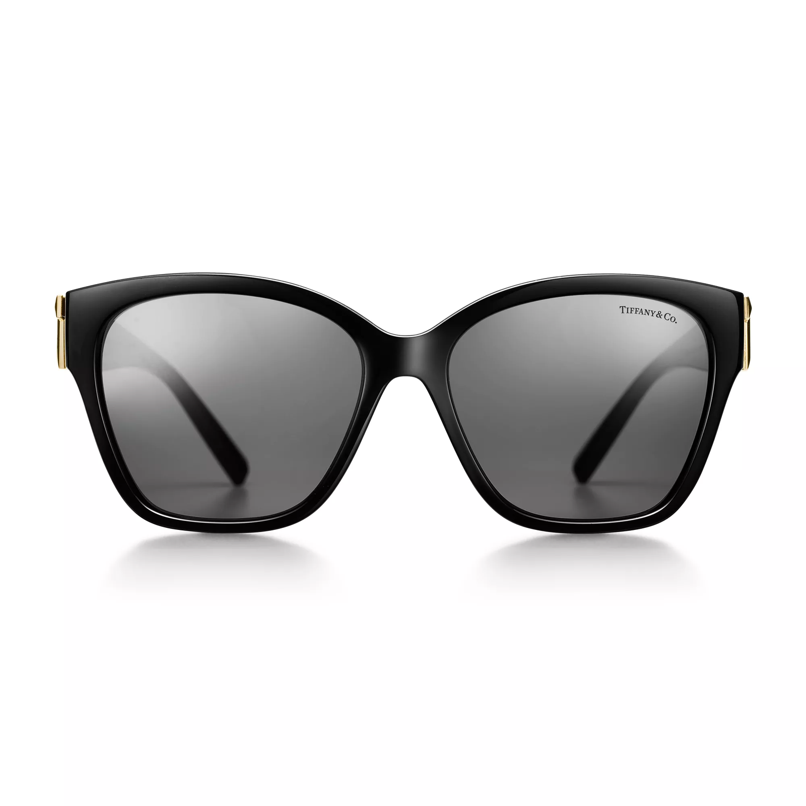 Sunglasses in Black Acetate with Dark Gray Lenses