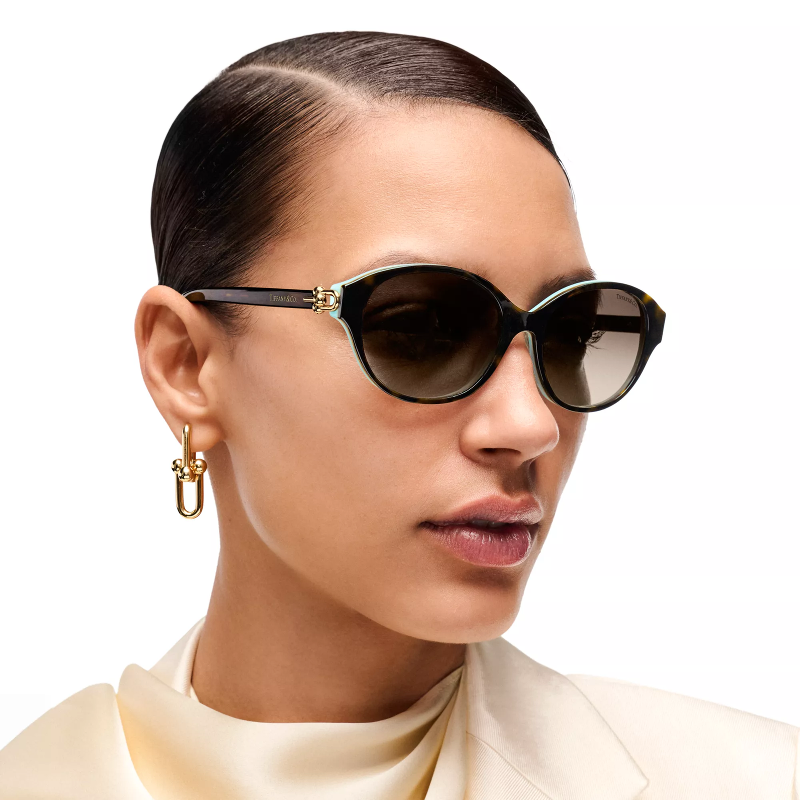 Sunglasses in Tortoise Acetate with Brown Lenses